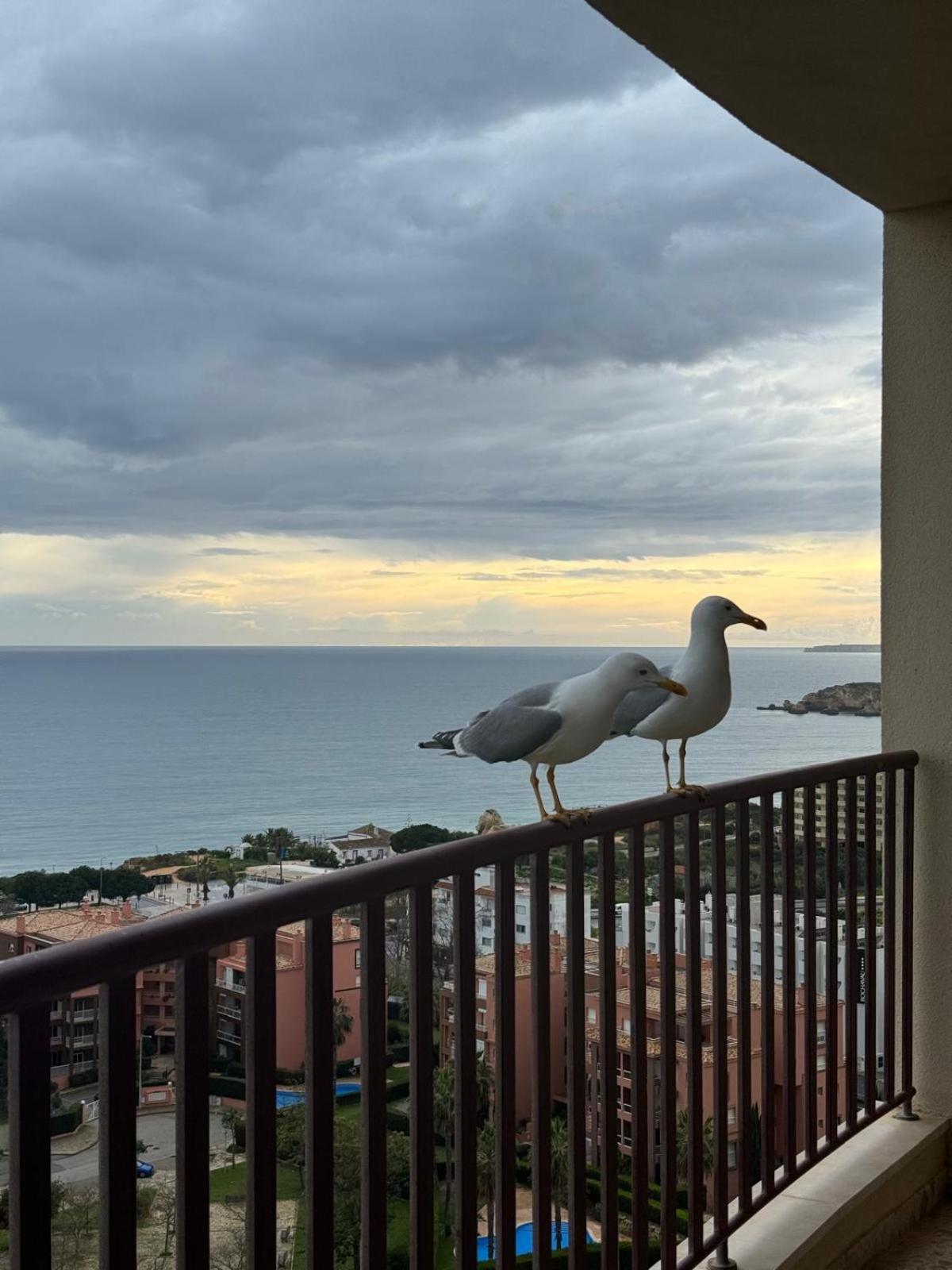 Sofiamarholidays - Casa Praia Mar Portimão Zewnętrze zdjęcie