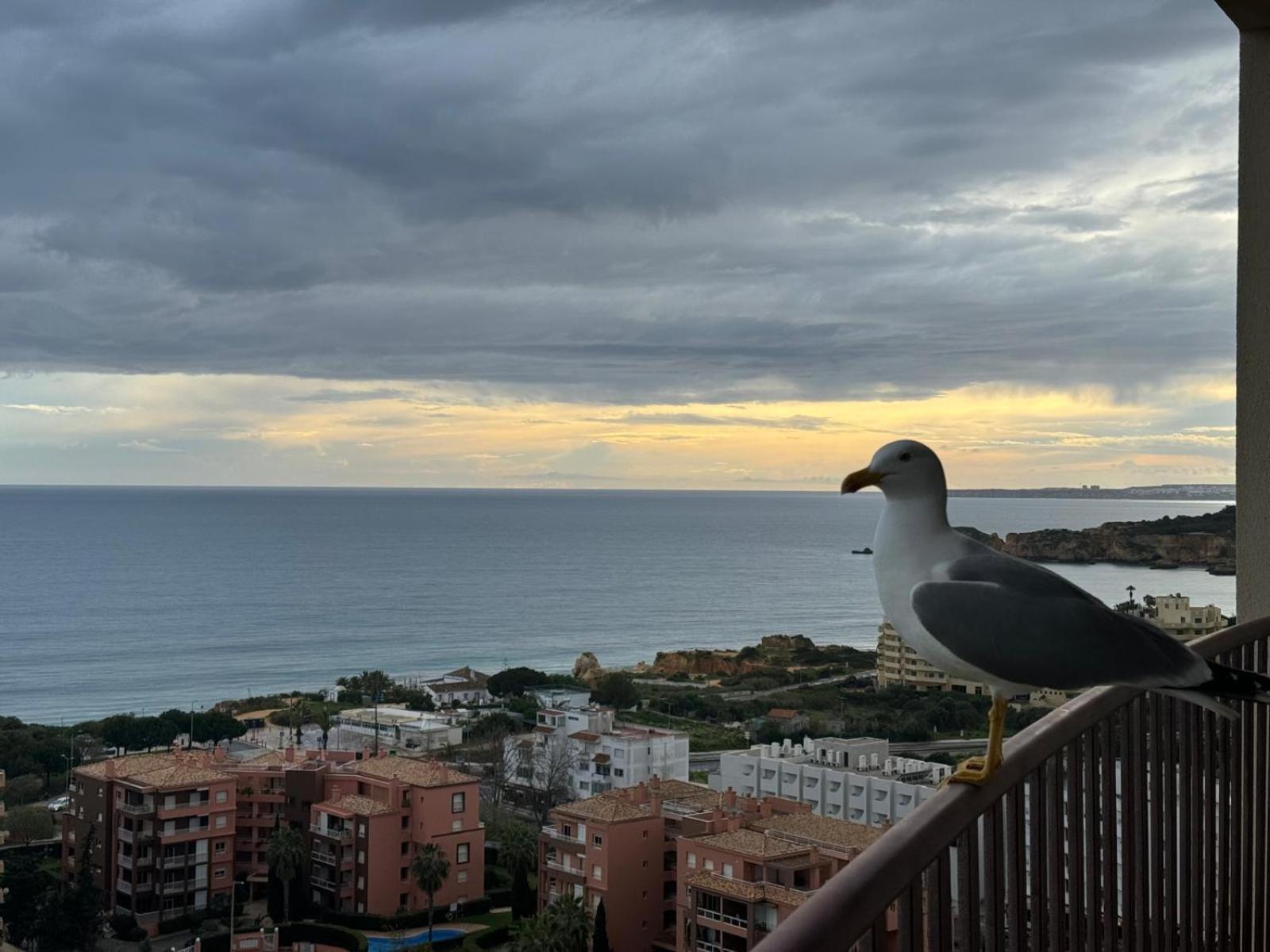 Sofiamarholidays - Casa Praia Mar Portimão Zewnętrze zdjęcie